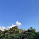 팔음로 이미지