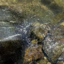 계곡여행 | 경기도 광주 남한산 계곡 당일치기 여행 후기 – 서울 수도권 근교 물놀이 명소 추천