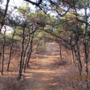 백운공원 이미지