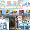 일촌횟집 이미지