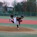 장항리틀야구장 이미지