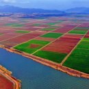 말 모형 이미지