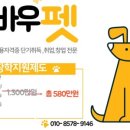 미래펫미용 이미지