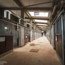 차원목장 이미지