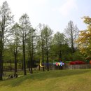 호암중앙2로 이미지