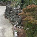 오나민박 이미지