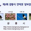 D00998 네이버블로그