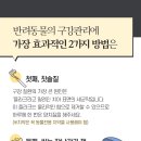 운정힐링동물병원 이미지