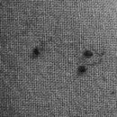 링크늘푸른동물병원 이미지