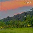 스테이 무 이미지