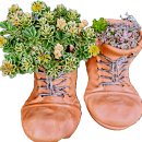 바다 행정사 사무소 이미지