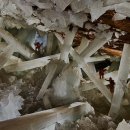 수정-109 이미지