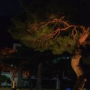 엘렌리조트