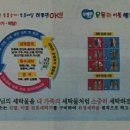 상쾌한 운동화 이불 빨래 Daum카페