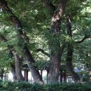 청도면보건지소 이미지