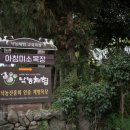제주미소투어