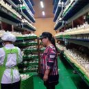 황보농장 이미지