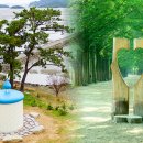 (여행) "전라남도에서 9월 여행으로 강력 추천"... 가볼만한 여행 명소 4곳 이미지