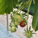 들말농장 이미지