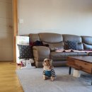 탱자네민박 이미지