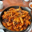 조가네 갑오징어 이미지