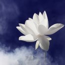 연화로