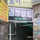 애니카랜드 마전점 이미지