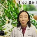 백세한약국 이미지