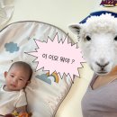 달콤하고 말캉말캉한