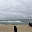 전기차충전소_동화초등학교 맞은편 공영주차장 | [강릉] 2박2일 강릉 휴식 여행 2편(중앙시장 오징어회무침/배니닭강정, 강릉소주, 초당커피정미소...