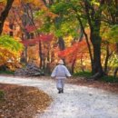 인생[人生]은 다 바람 같은 거야-묵연스님 이미지