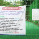 양지공원 다목적구장 이미지
