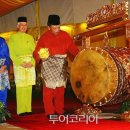 피트리