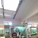 기린농장 이미지