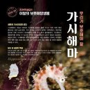 해마 이미지