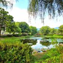 능수버들공원 화장실 이미지