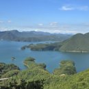 게으른 악어 이미지