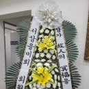 꽃의계절 이미지