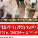 남성건강원 - 고창군 학천로 4 | 남성건강원