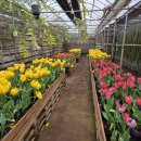 이종인농장 이미지