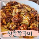 청솔 | 고양 이케아 맛집 일산 청솔쭈꾸미 칼국수 후기