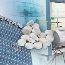 모두약품 이미지