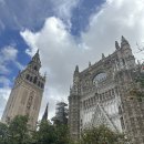 해바라기참치회 | 스페인 여행 세비야 맛집 내돈내산 후기 (숨겨진 맛집, 유명 맛집 솔직 후기)