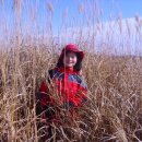 양덕동491 이미지