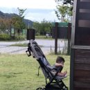 굽네치킨세종 이미지