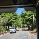 코사보성마트 이미지