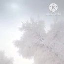 🌱🍃 관점의 차이 이미지