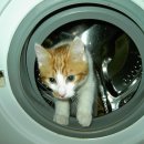 청명크리닝 이미지