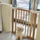 라이크테테 이미지