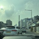 그린메디컬센터 (한누리빌딩) | 강북 : 루시드동물메디컬센터 미아 본점 고양이 건강검진 내돈내산 찐후기